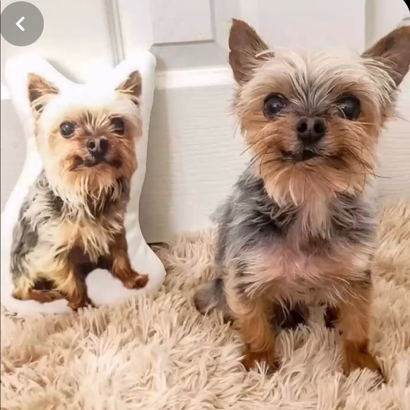 Custom Pet Pillow - Picture 7 of 7